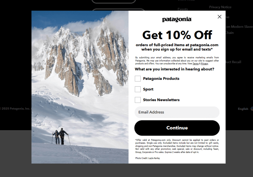 Patagonia Newsletter Popup