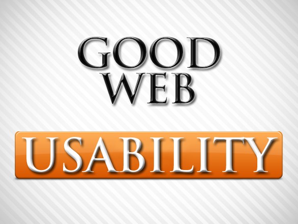 What Constitutes Good Web Usability?