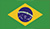 flag-in