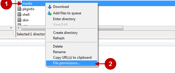 Files server permissions theme installation