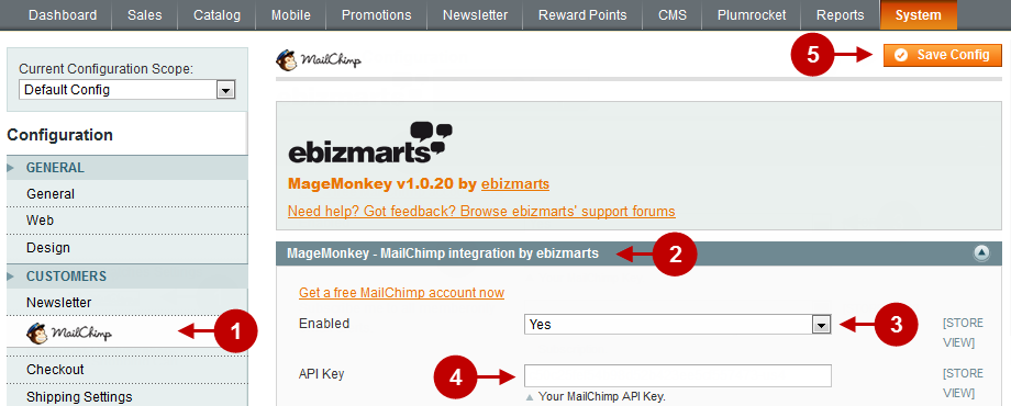 Step-2-mailchimp-config-1