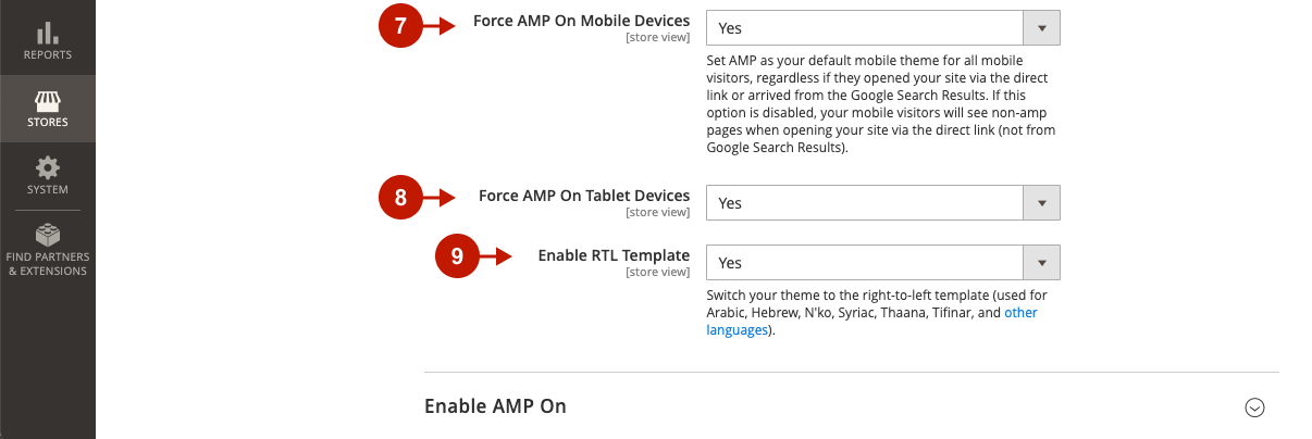 Magento 2 AMP Extension Main Settings 3