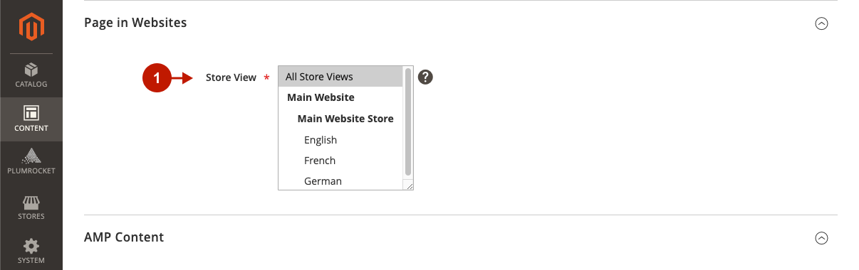Magento 2 AMP extension configuring AMP Homepage 5.png