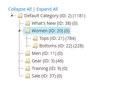 What Are Category Tiers in Magento 2?
