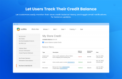 Magento 2 Store Credit & Refunds to Merchandise Credit Extension