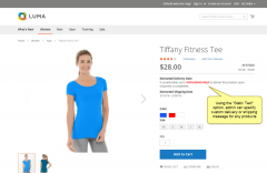 Magento 2 Estimated Delivery Date Extension