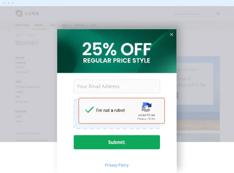 Google reCAPTCHA on the newsletter signup form